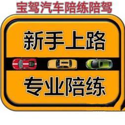 專業(yè)陪練陪駕針對c1c2本本族有駕駛證各種不敢自己開車上路的